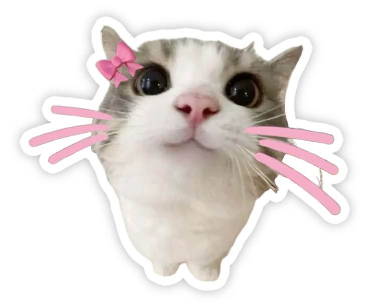 Aşko sticker
